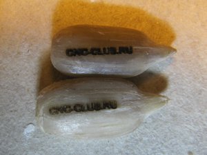 Семечки.jpg (1654 просмотра) <a class='original' href='./download/file.php?id=99966&mode=view' target=_blank>Загрузить оригинал (250.38 КБ)</a>